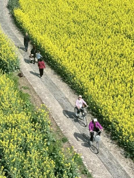 1774850287241430.png 图片2.png