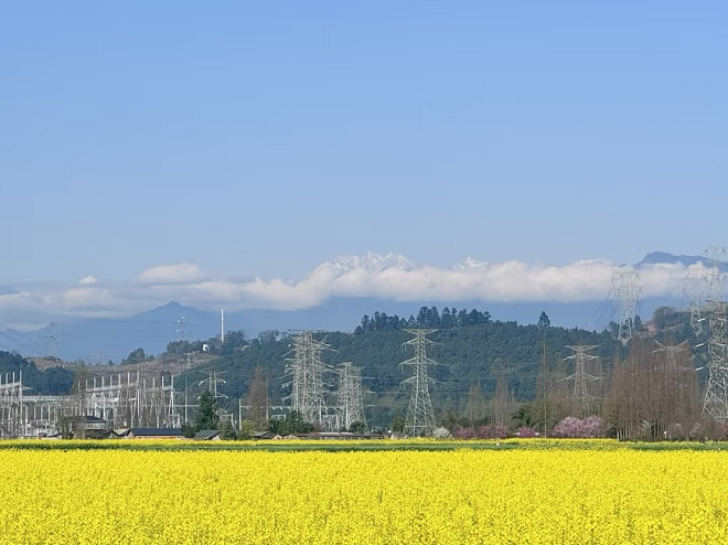 1774850294741690.png 图片3.png