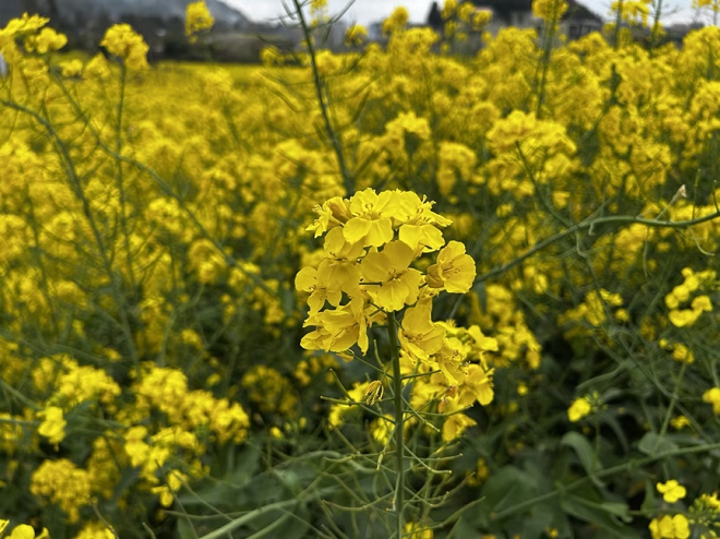 1774850302651041.png 图片4.png