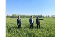 烟台银行深耕粮食普惠 赋能乡村产业振兴