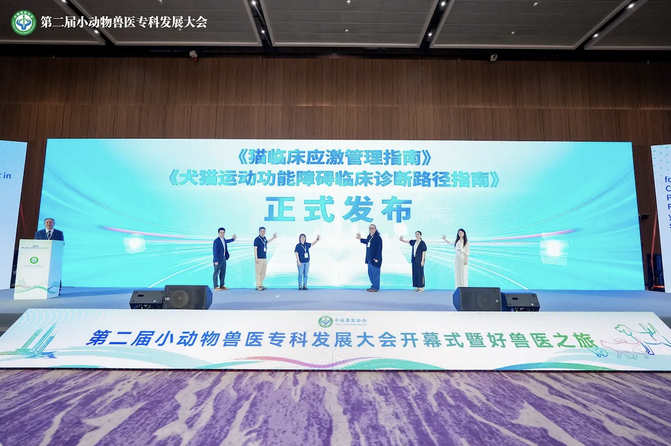 猫后肢无力示意图