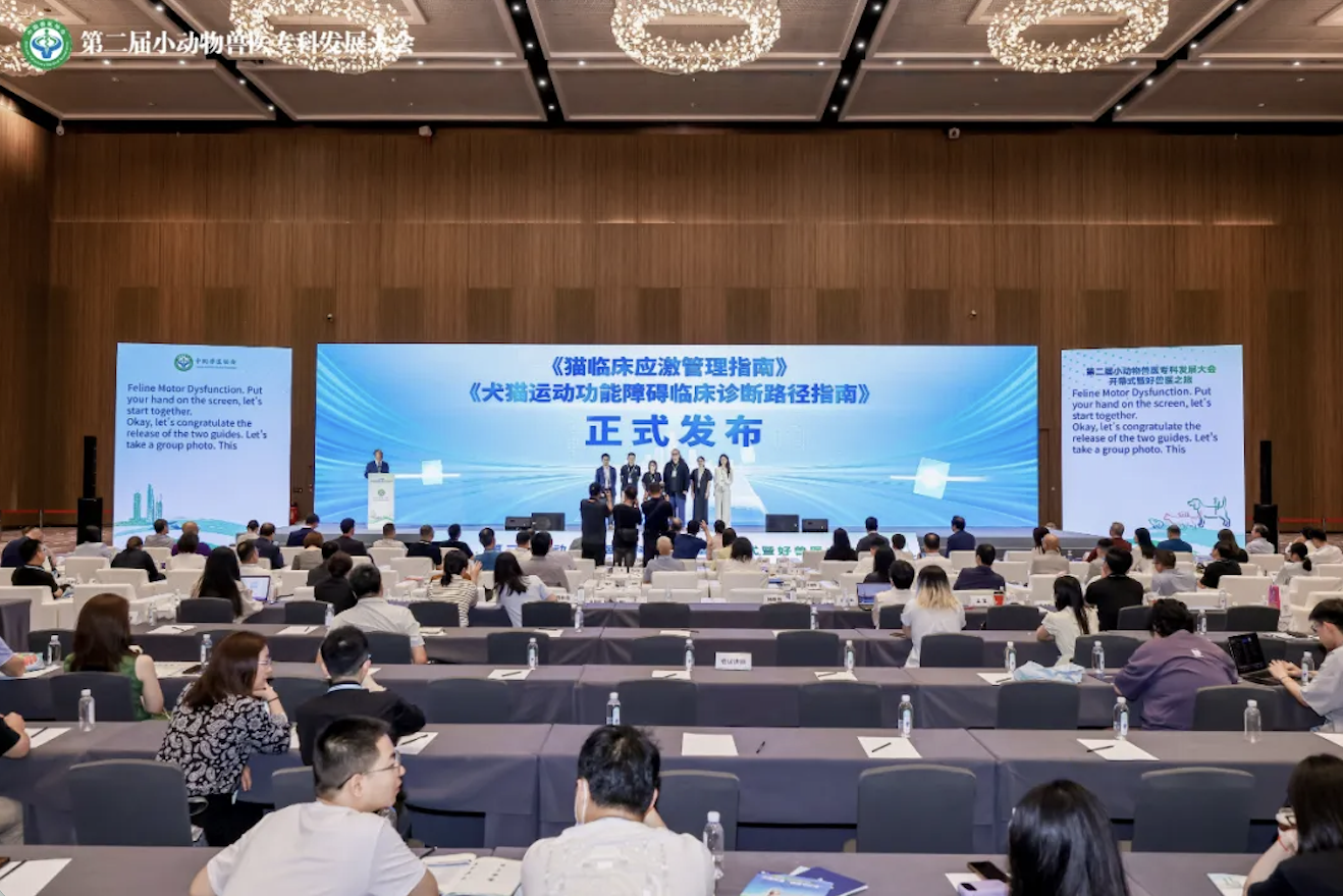 兽医临床检查示意图